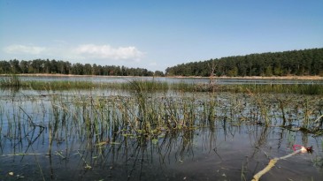 Kurt gölü piknikçilerin vazgeçilmezi oldu