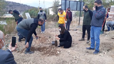 Milli Ağaçlandırma Bayramında ağaç dikimi yapıldı