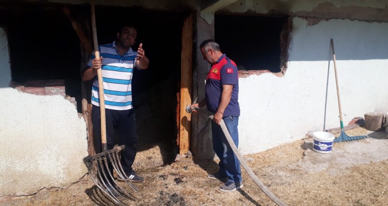 SAMANLIK YANGINI BÜYÜMEDEN SÖNDÜRÜLDÜ