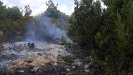 AKÇAKOLAY TAŞPERÇİN MEVKİİNDE YANGIN