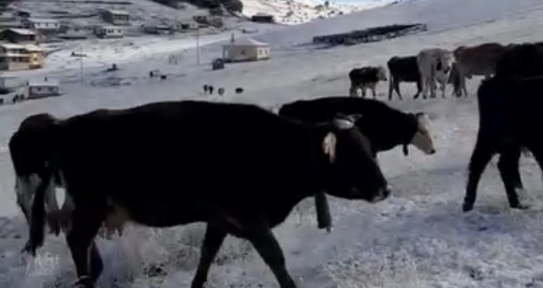 REŞADİYE’DE MEVSİMİN İLK KARI YAĞDI