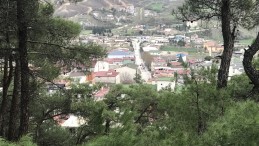 Baharın gelişiyle Reşadiye yeşile büründü