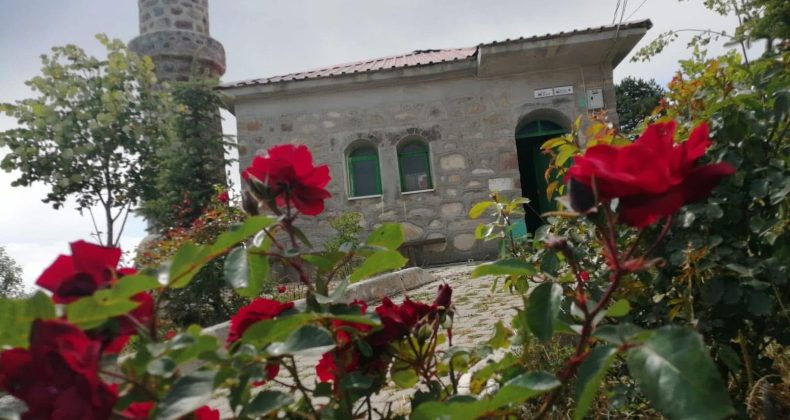 Mevlid Kandili’niz mübarek olsun
