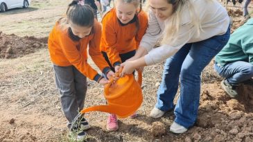 Milli Ağaçlandırma Bayramında fidanlar toprakla buluşturdu