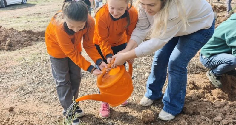 Milli Ağaçlandırma Bayramında fidanlar toprakla buluşturdu