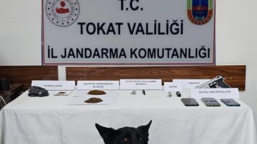 Reşadiye’de uyuşturucu operasyonu