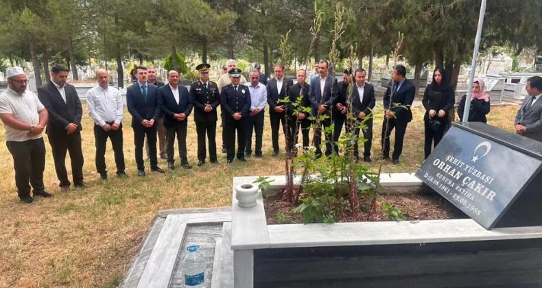 Reşadiye’de 15 Temmuz etkinlikleri yapıldı